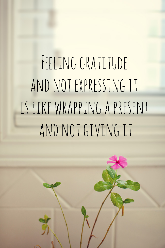 Expressing Gratitude | Week 2 On My Gratitude Journey
