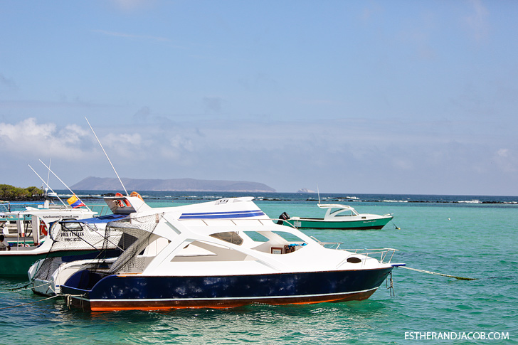 Isabela Galapagos Island Boats at the Pier.