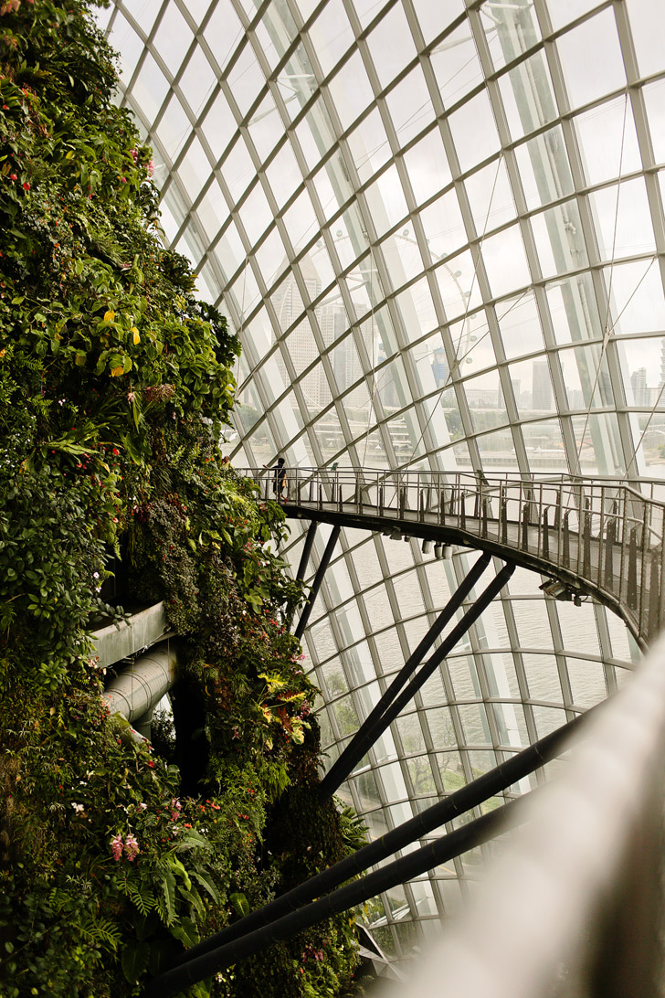 Cloud Forest Gardens By the Bay Singapore.