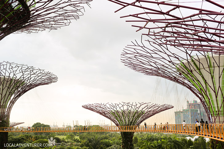 OCBC Skyway Gardens by the Bay Singapore.