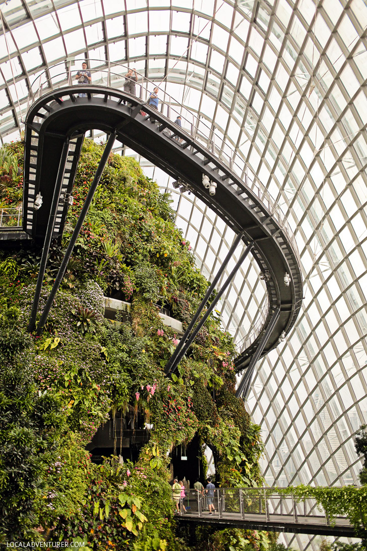 Cloud Forest Gardens by the Bay Singapore.