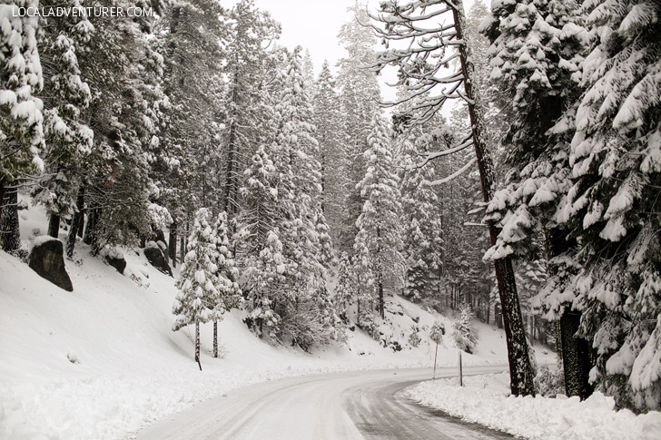 Yosemite National Park Winter Roads.