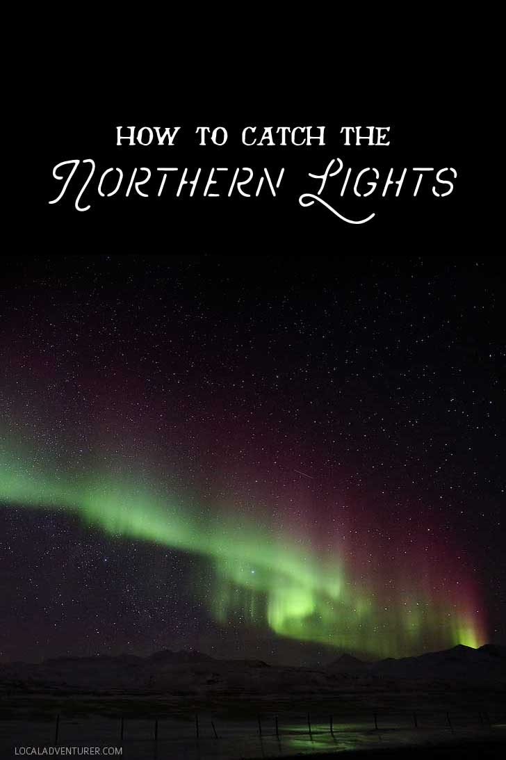 How to See the Northern Lights + Tips from Our Iceland Trip // localadventurer.com