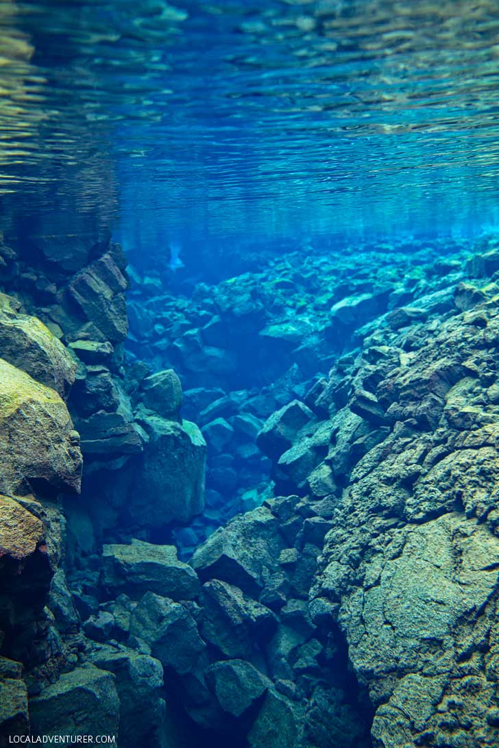 Silfra Fissure Snorkeling in Þingvellir National Park Iceland - Snorkel between the continental plates of Eurasia and North America. The underwater visibility is over 100 m and the water is pristine and drinkable during your dive or snorkel // localadventurer.com