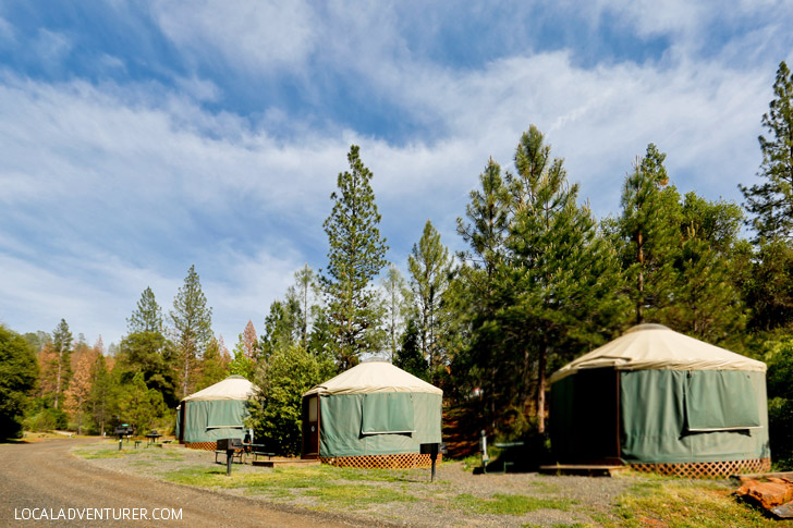 Glamping in Yosemite Yurts - Yosemite Pines RV Resort & Family Lodging // localadventurer.com