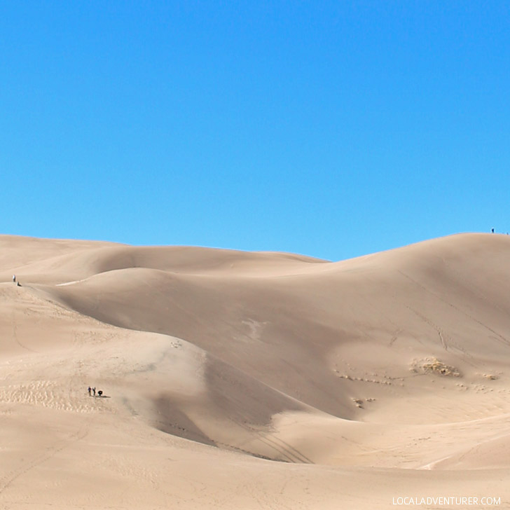 Great Sand Dunes National Park - home of the tallest sand dunes in North America // localadventurer.com