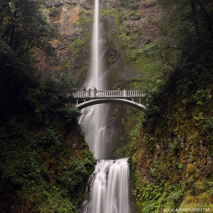 Multnomah Falls + the 7 Wonders of Oregon // localadventurer.com