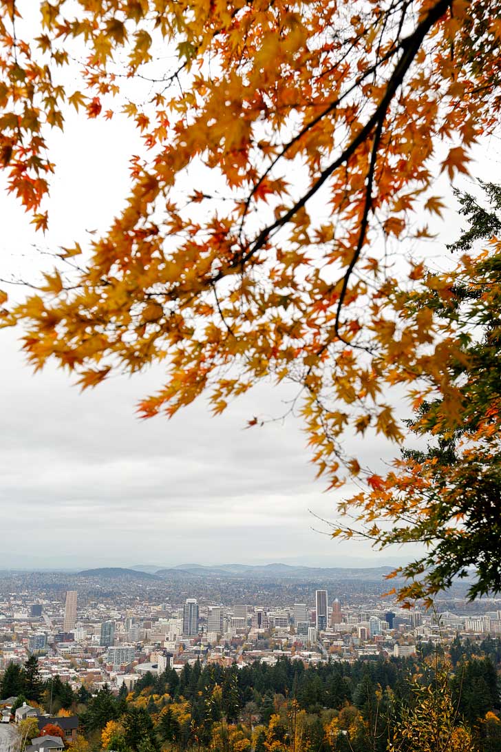 Pittock Mansion View of Portland. You can even see Mt Hood on a clear day // localadventurer.com