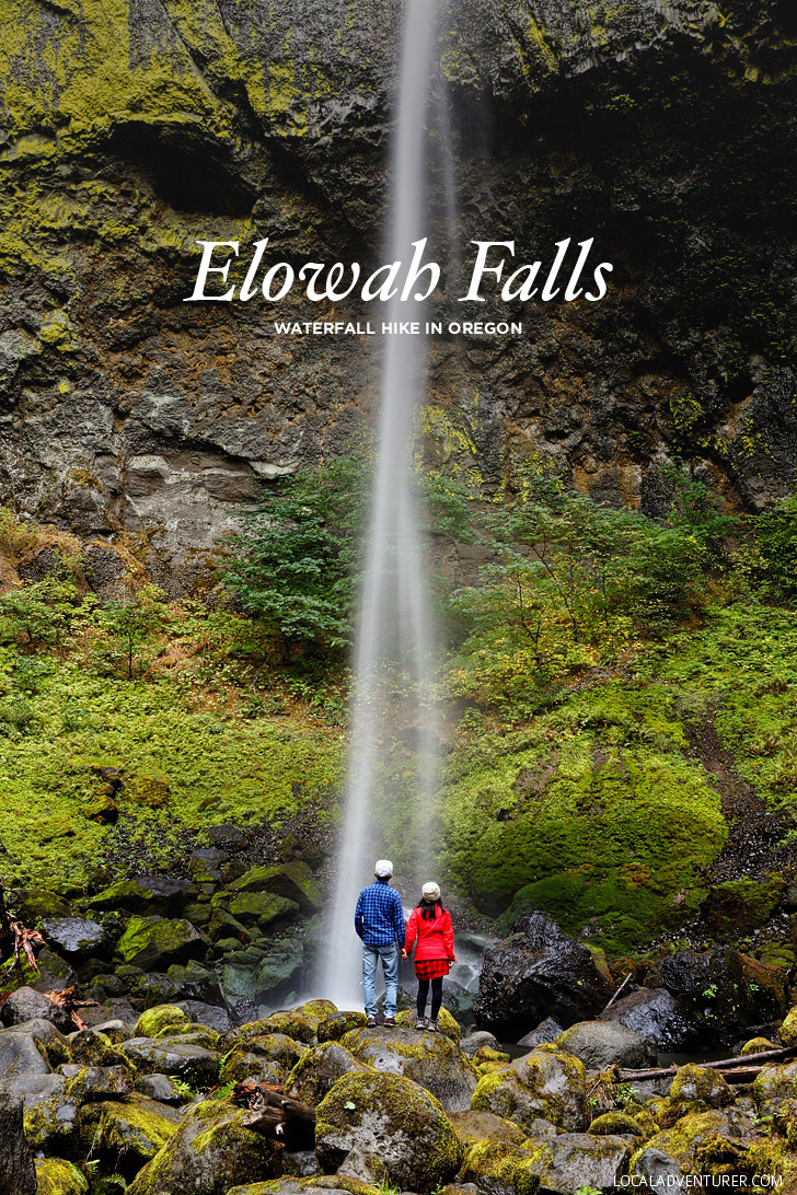 Elowah Falls Hike - Chasing Waterfalls in Oregon // localadventurer.com