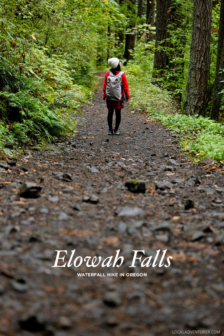 Elowah Falls Hike Near Portland Oregon // localadventurer.com