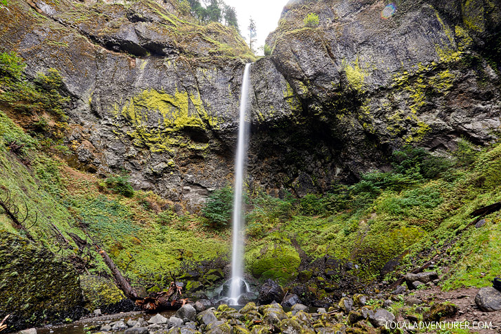 Easy Waterfall Hike in Oregon - Elowah Falls // localadventurer.com