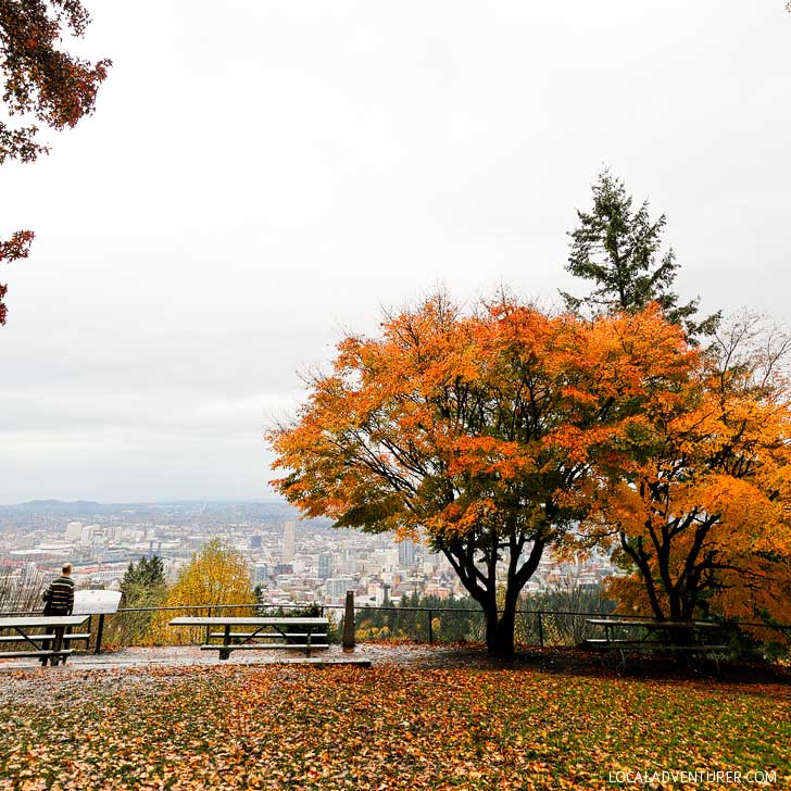 Pittock Mansion has one of the best views of Portland // localadventurer.com