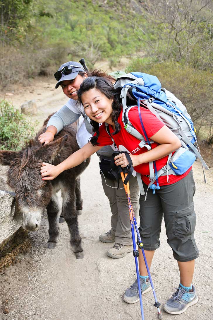 Hiking the Inca Trail Blog // localadventurer.com