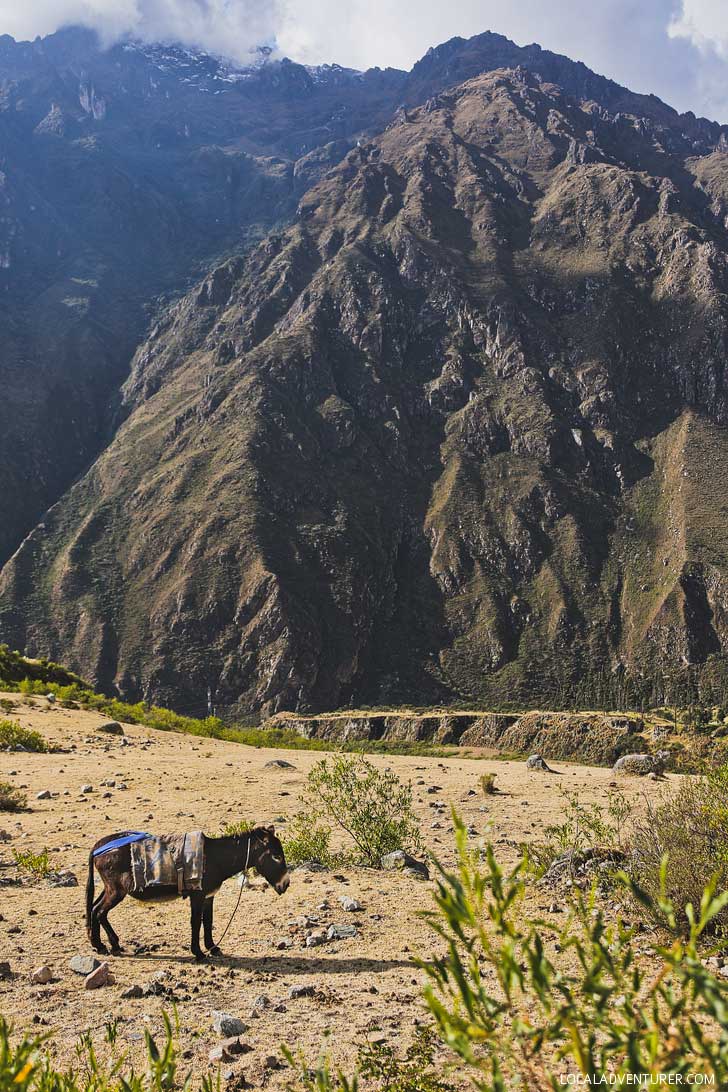 Inca Trail Information // localadventurer.com