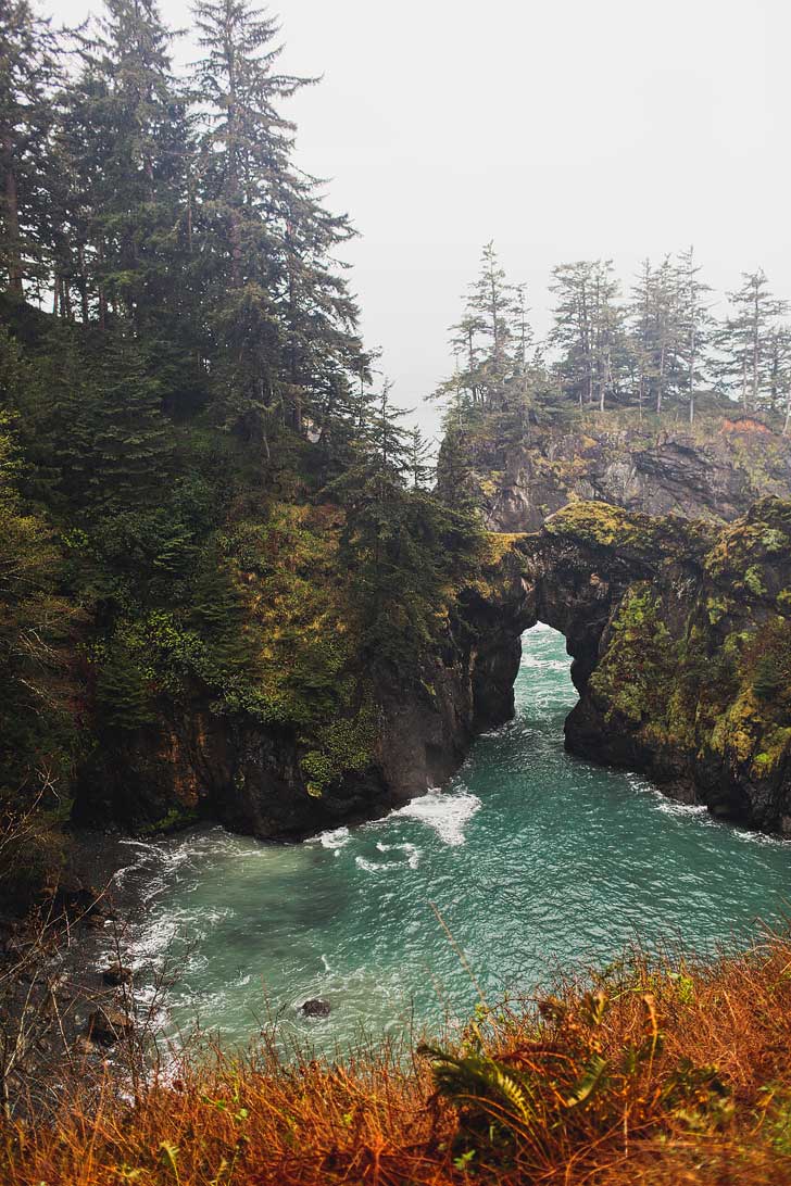 Natural Bridges, Samuel Boardman State Park, Oregon Coast // localadventurer.com
