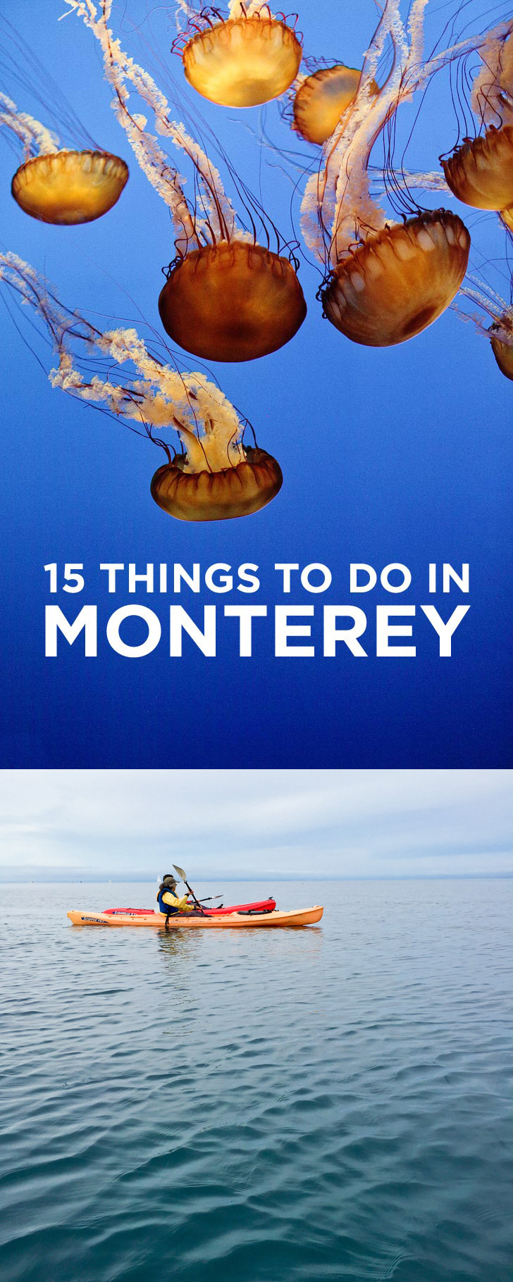 Heading to the Monterey Peninsula. You don't want to miss these 15 things to do in Monterey California. It's also a great home base for exploring Big Sur // localadventurer.com