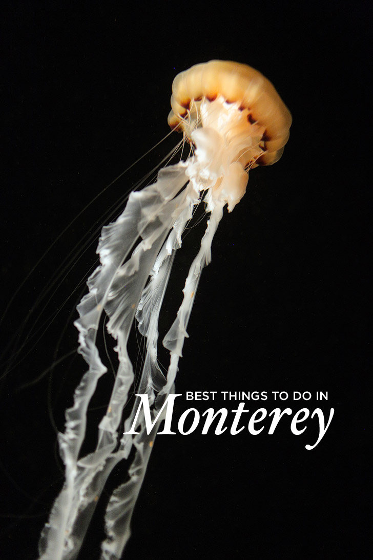 Heading to the Monterey Peninsula. Here's what to do in Monterey CA. It's also a great home base for exploring Big Sur // localadventurer.com