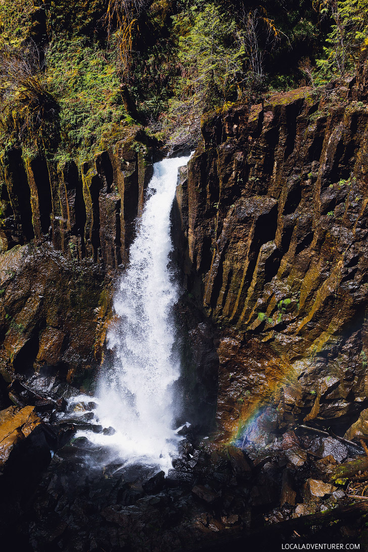 Photo Guide to Drift Creek Falls - Oregon Hikes, Lincoln City, Oregon Coast // localadventurer.com
