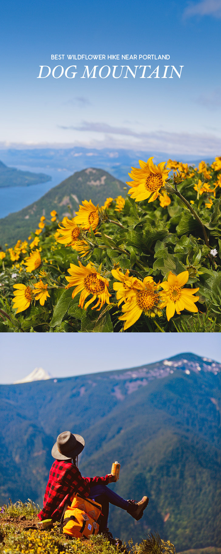 The Best Wildflower Hike Near Portland - Dog Mountain Trail, Columbia River Gorge, Washington // localadventurer.com