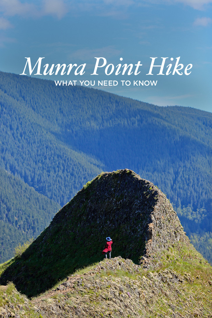 Munra Point Hike - Everything You Need to Know // localadventurer.com