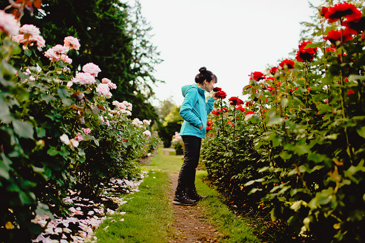 Portland International Rose Test Garden + How to Find the Best Photo Spots and Views in Portland Oregon // localadventurer.com