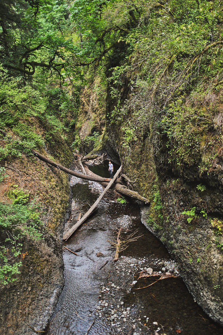 Oneonta Gorge Oregon from the top of Lower Oneonta Falls - Hiking in the Columbia River Gorge // localadventurer.com