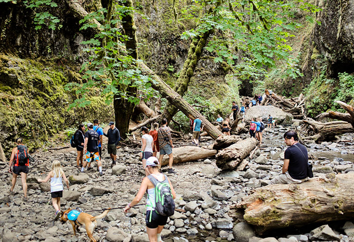 The Crowded Oneonta Gorge Trail to Lower Oneonta Falls // localadventurer.com