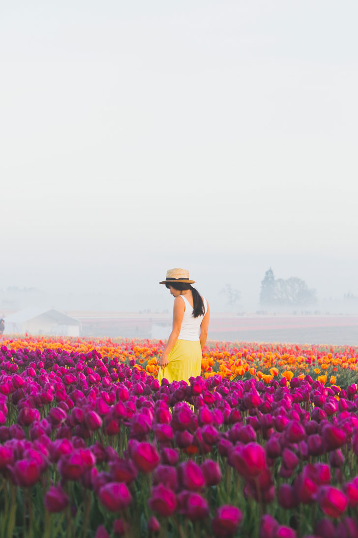 Your Ultimate Guide to the Wooden Shoe Tulip Farm Oregon - What You Need to Know Before You Go - More Amazing Tulip Festivals in the US You Must See // Local Adventurer