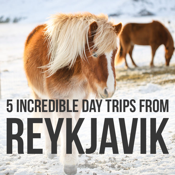 5 Epic Day Trips from Reykjavik Iceland You Can’t Miss | Best Places to Drive to in Iceland - Are you traveling to Iceland? Click the article to see the beautiful destinations that are only a day trip away from Reykjavik. Why you should visit them, Iceland road trip travel tips, and what to do in Reykjavik // Local Adventurer #reykjavik #roadtrip #iceland