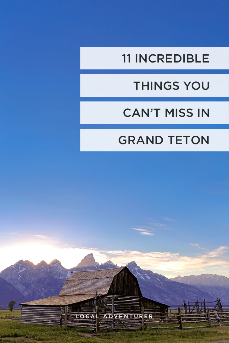 Grand Teton National Park Photography, Adventure, & Landscapes | If you're headed to Grand Teton National Park then you need to check out this article. Find out the best things to do, where to find wildlife, and a hiking bucket list. It truly is one of the most beautiful places in the United States // Local Adventurer #grandteton #wyoming #nationalpark