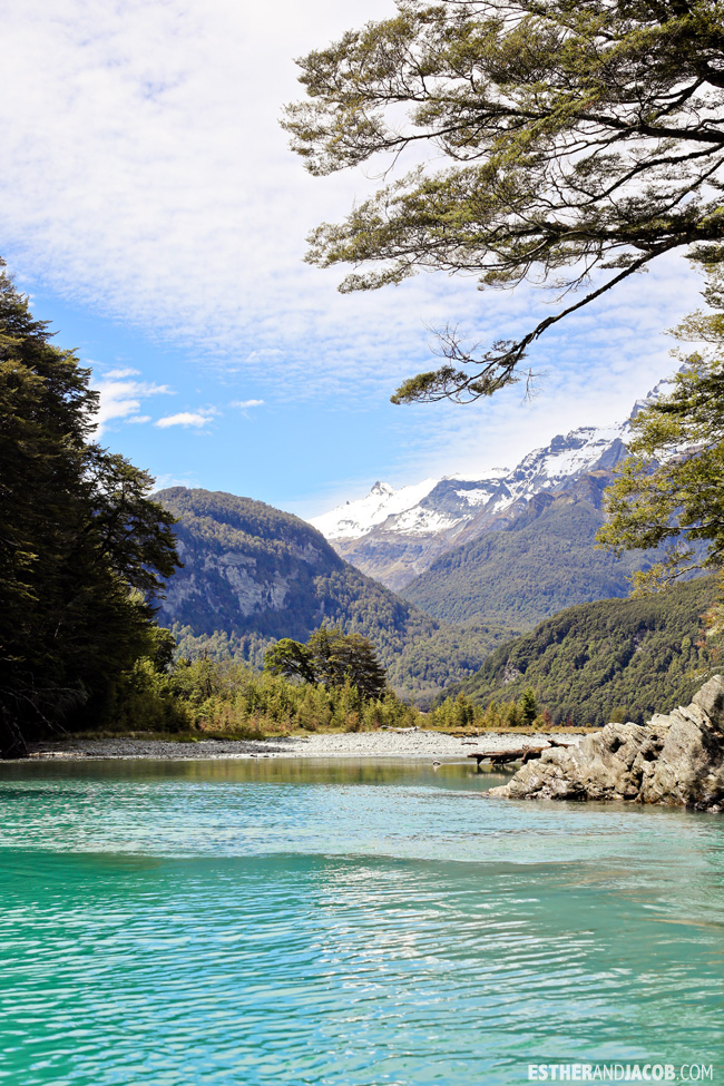 You are currently viewing Day 6 Dart River Wilderness Safari & Jetboats | A Guide to South Island New Zealand