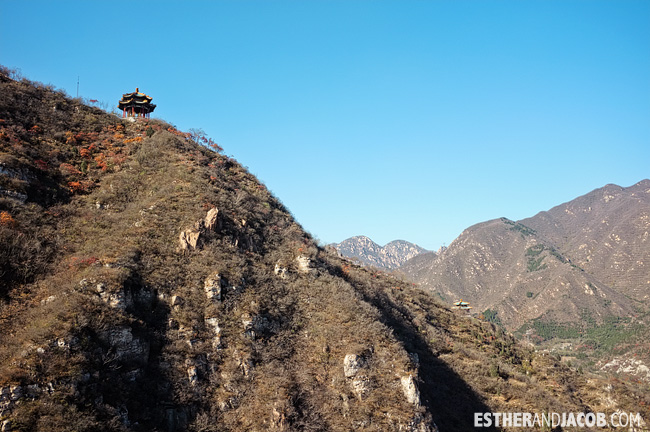 the greatwall: Great wall of china pictures