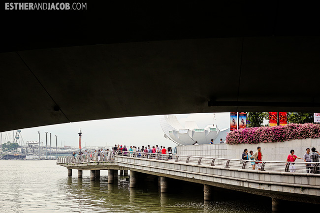 Merlion Park | What to Do in Singapore