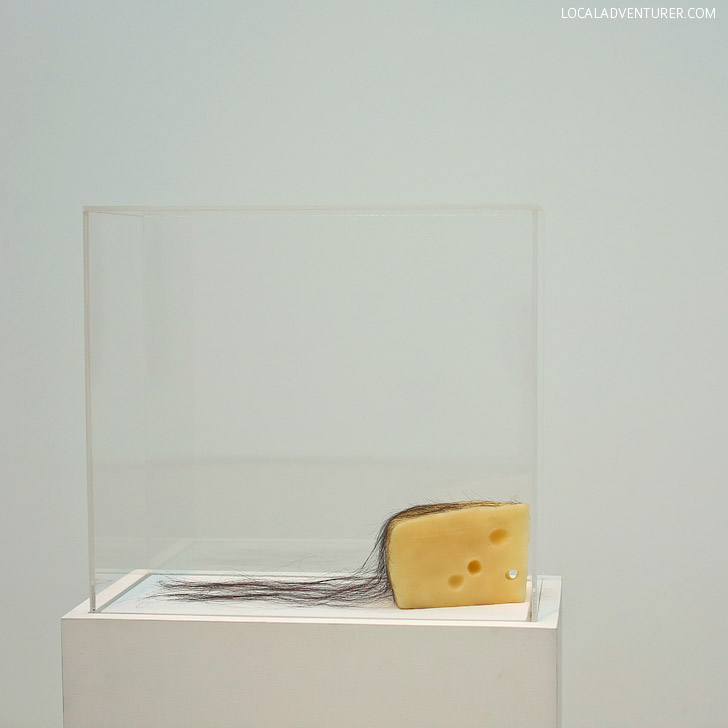 LA Museum | LA CMA Modern Art | Long Haired Cheese Robert Gober