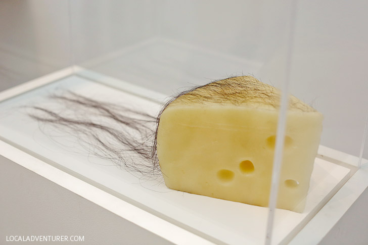 LA Museum | LA CMA Modern Art | Long Haired Cheese Robert Gober