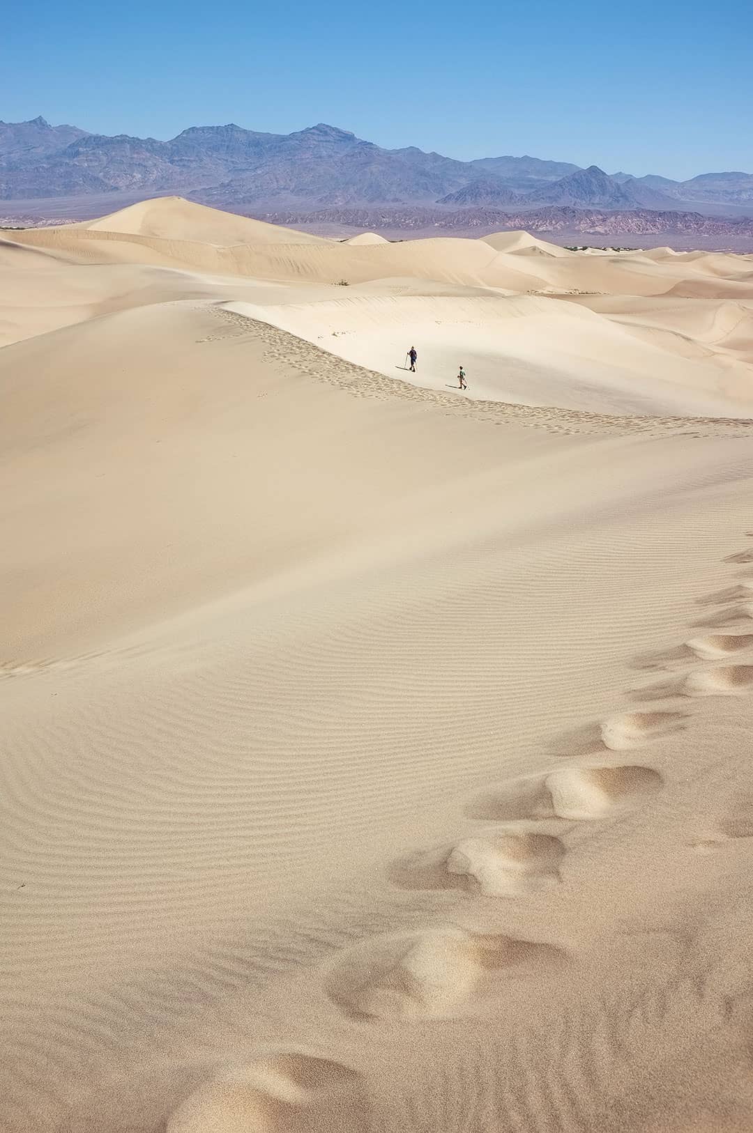 mesquite sand dunes
