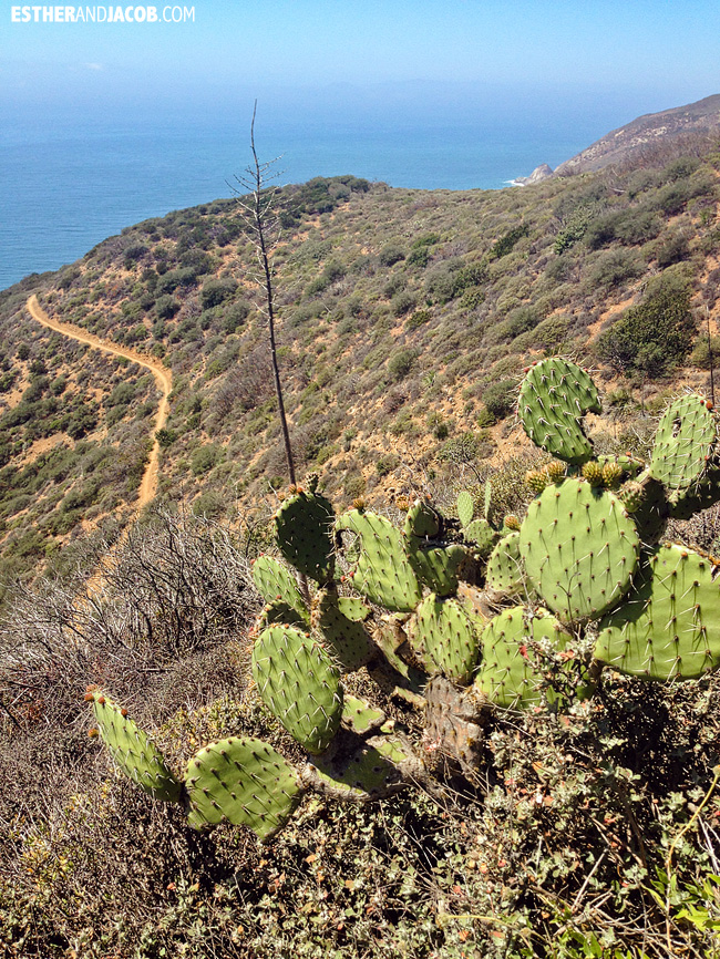 Hiking California: Point Mugu State Park Hiking Trails