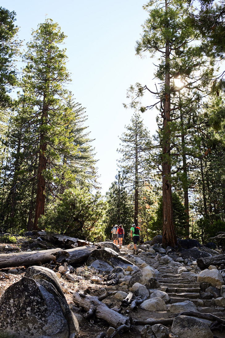 Yosemite Half Dome Trail // localadventurer.com