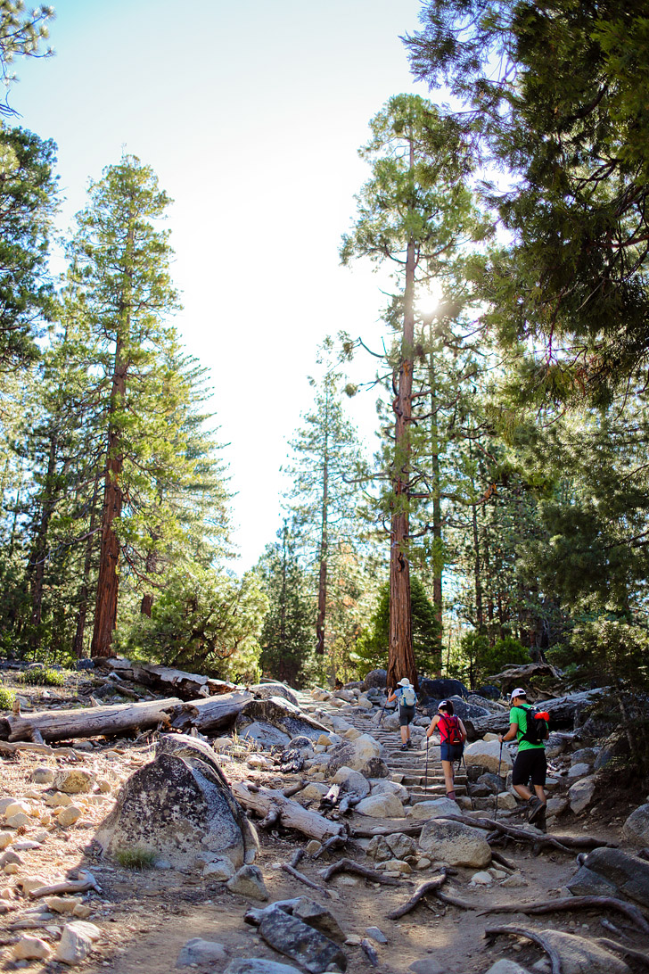 Yosemite Hiking Trails in California // localadventurer.com