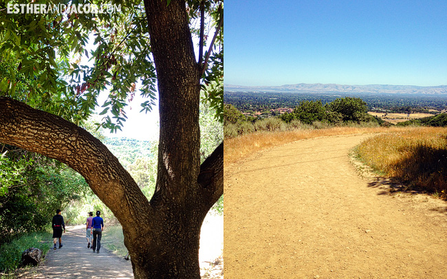 us road trip. road trip to san francisco. Hiking in Rancho San Antonio Park. Bay Area Hikes.