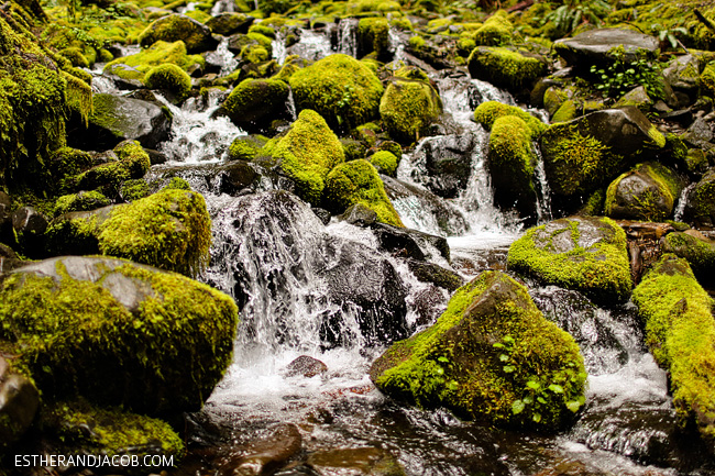 sol duc falls. sol duc olympic national park wa. hiking olympic national park. the olympic national park washington.