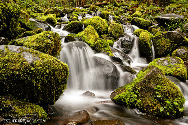 sol duc falls. sol duc olympic national park wa. hiking olympic national park. the olympic national park washington.