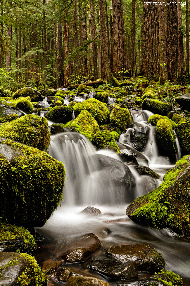 Olympic 2024 waterfall trail