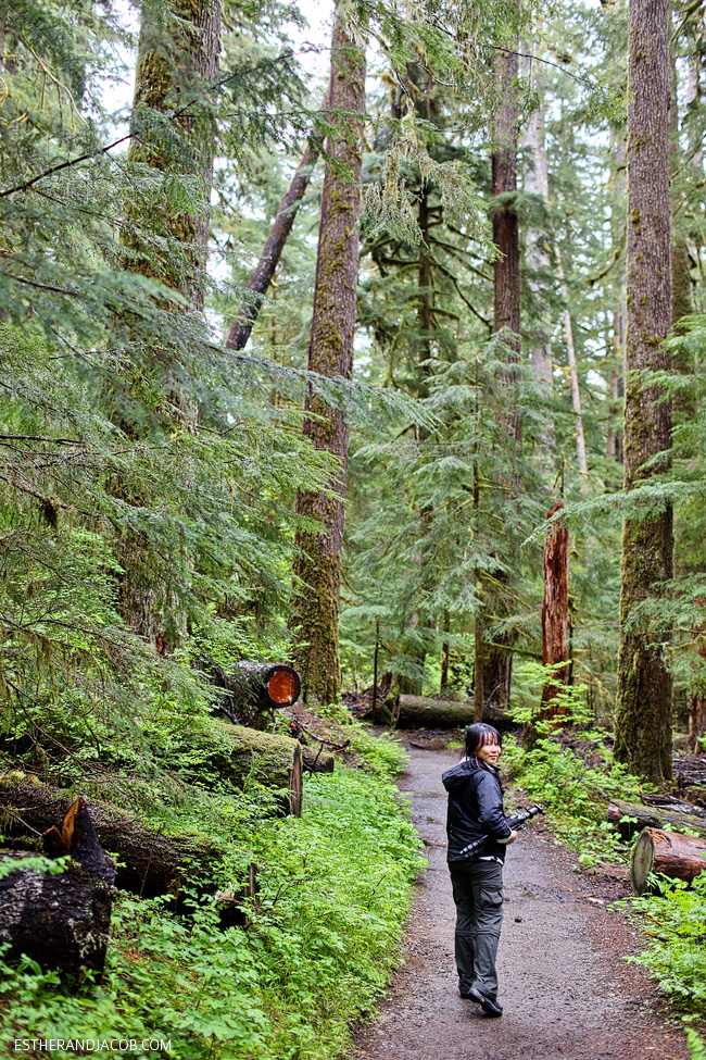 sol duc falls trail. sole duck falls. medina falls washington. what to see in olympic national park washington. olympic national forest.