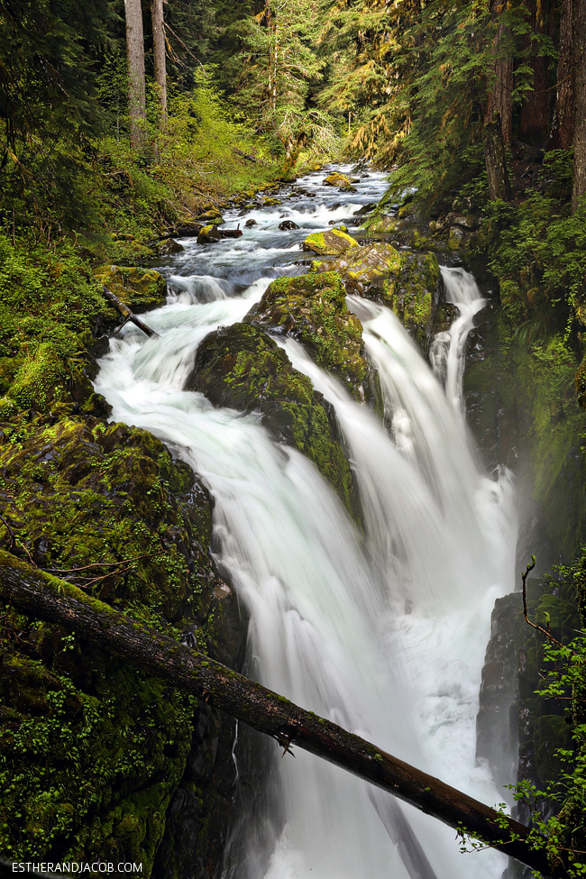 sol duc falls trail. sole duck falls. medina falls washington. what to see in olympic national park washington. olympic national forest.