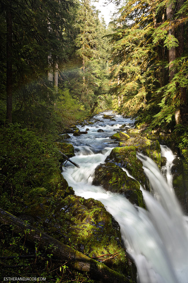 sol duc falls trail. sole duck falls. medina falls wa. what to see in olympic national park washington. olympic national forest.