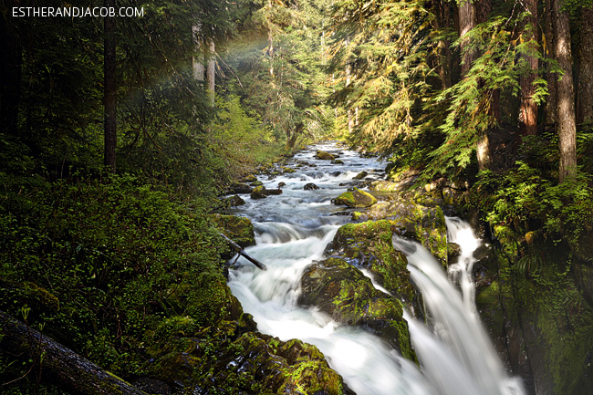 sol duc falls trail. sole duck falls. medina falls wa. what to see in olympic national park washington. olympic national forest.