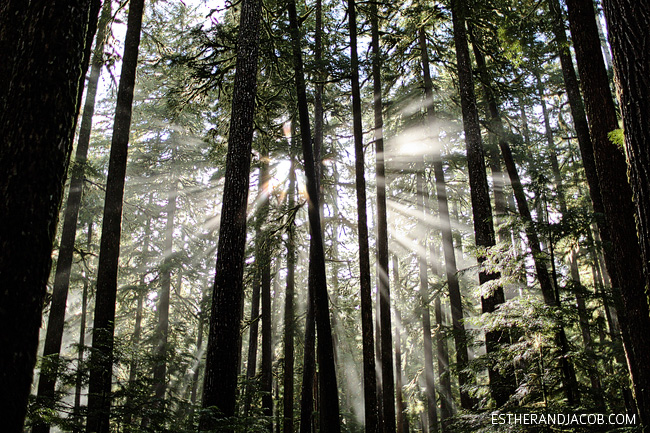 sol duc falls trail. sole duck falls. what to see in olympic national park washington. olympic national forest.