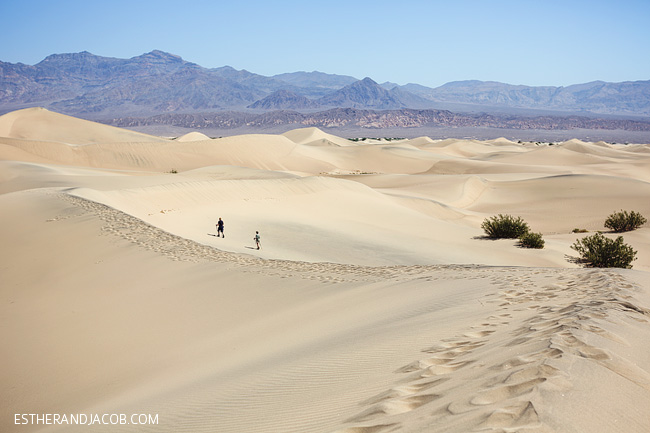 death valley photos. mesquite flat dunes death valley park. death valley california. visit death valley. death valley ca. death vally