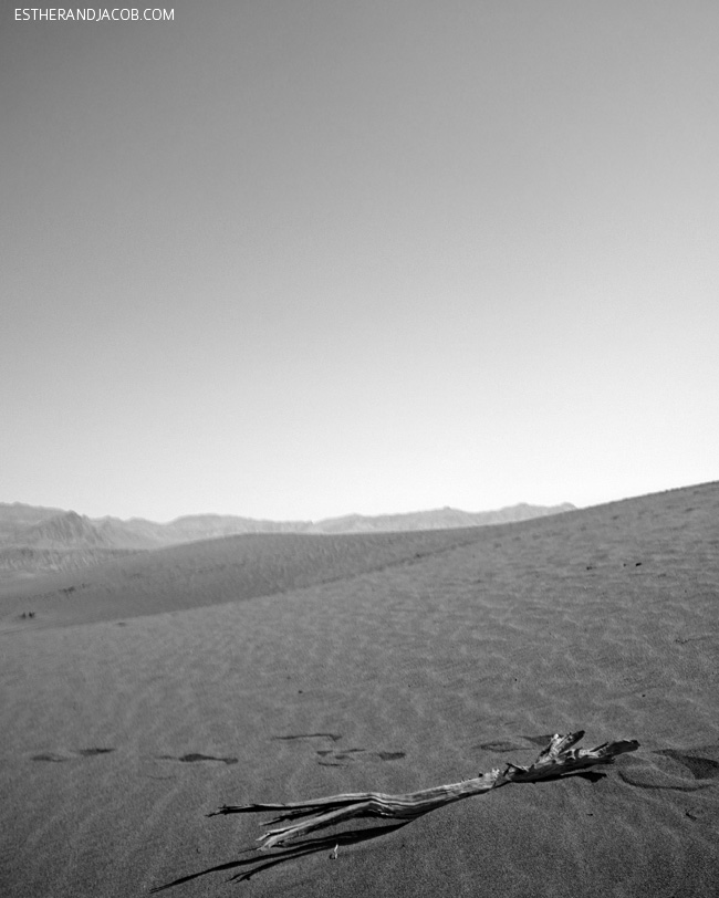 death valley photos. mesquite flat dunes death valley park. death valley california. visit death valley. death valley ca. death vally